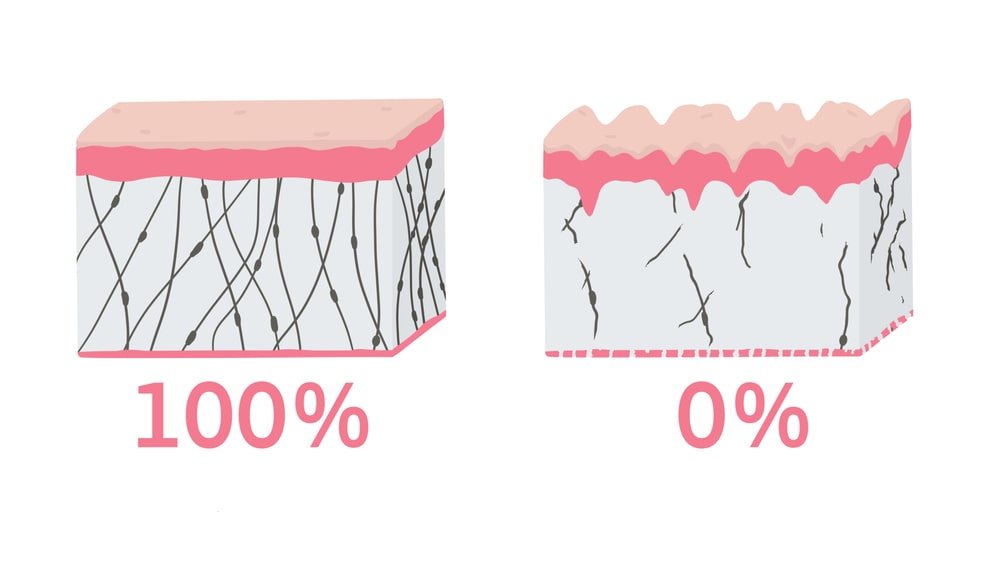 collagen production