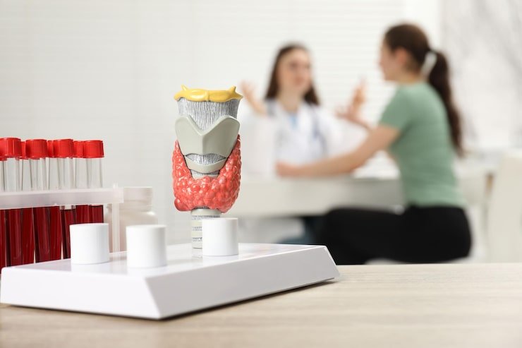 Understanding Thyroid Function Tests in the UK